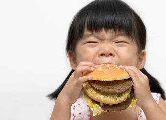 Alternative Protein Startups to Watch