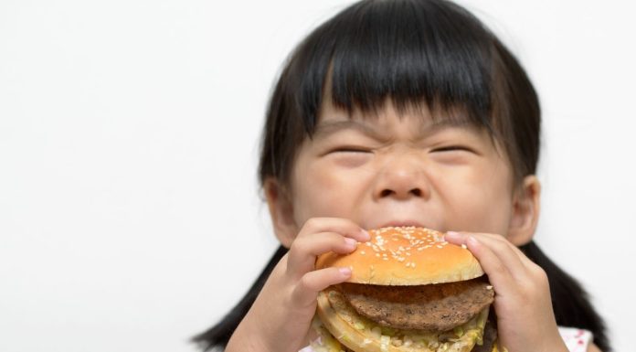 Alternative Protein Startups to Watch
