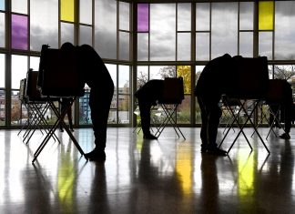 Why Americans are so enamored with election polls