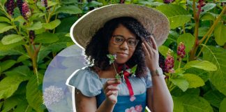 The Best TikTok Accounts About Foraging