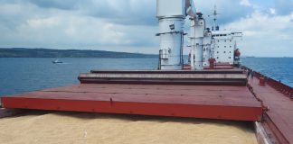Will Russia Block or Renew the Black Sea Grain Deal?