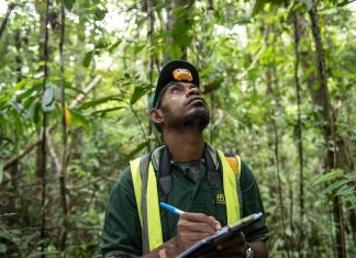 How carbon markets place a value on reducing emissions