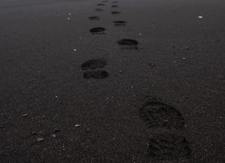 Are Carbon Offsets Worsening the Climate Crisis?