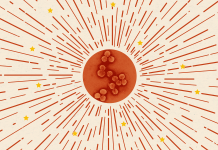 How China Is Planning to Win Back the World