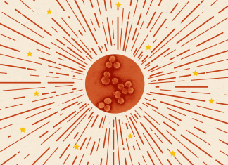 How China Is Planning to Win Back the World