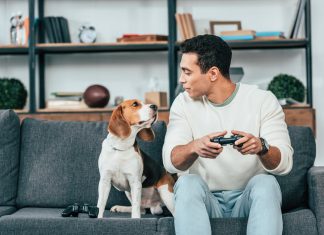 Tips for Living in a Condo with a Dog