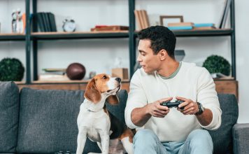 Tips for Living in a Condo with a Dog