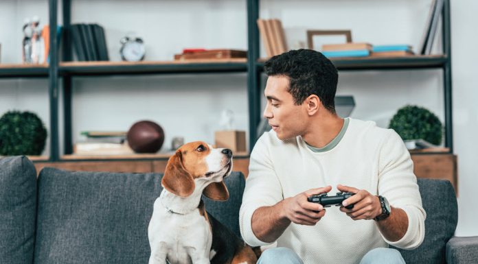 Tips for Living in a Condo with a Dog