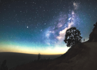 Does Consciousness Pervade the Universe?