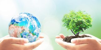 Top Ways To Celebrate Earth Month