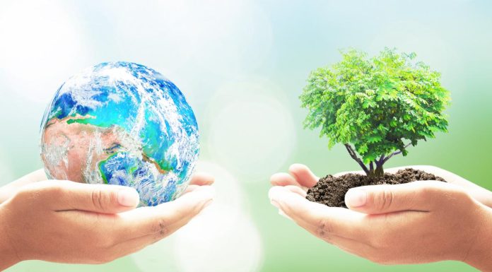 Top Ways To Celebrate Earth Month