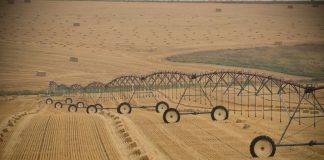 How European Farmers Spread Agriculture across Continent