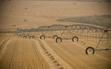 How European Farmers Spread Agriculture across Continent