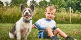 How to Choose the Right Pet for Your Family