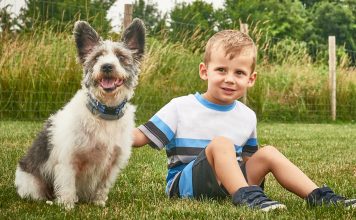 How to Choose the Right Pet for Your Family