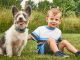 How to Choose the Right Pet for Your Family