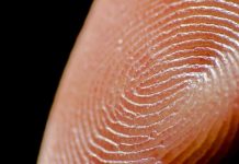 Why Do We Have Fingerprints?