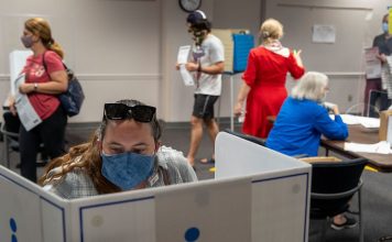 What Worries Foreign Election Observers