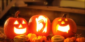 The Guilt-Free Way to Get Rid of Halloween Pumpkins