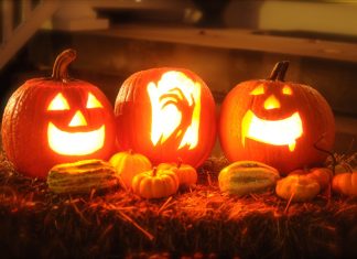 The Guilt-Free Way to Get Rid of Halloween Pumpkins