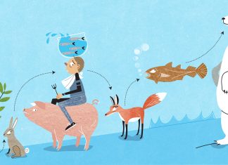 Are humans at the top of the food chain?