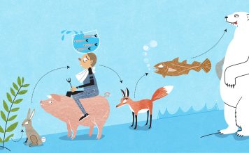 Are humans at the top of the food chain?