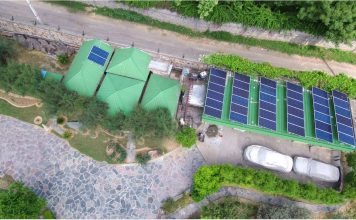 Top Indian Sustainable Startups to Watch This Fall
