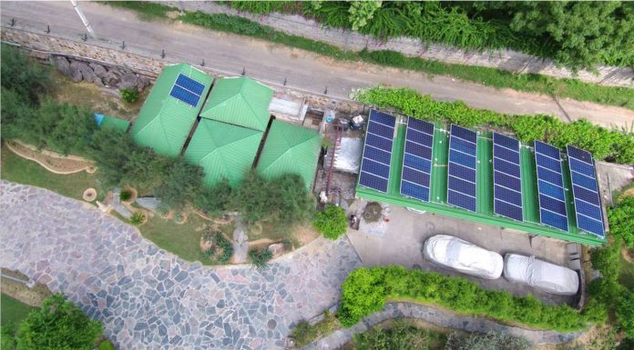 Top Indian Sustainable Startups to Watch This Fall