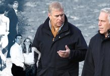 What Jeffrey Epstein Offered Prince Andrew