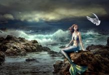 Mermaids and mermen: Facts and legends