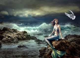 Mermaids and mermen: Facts and legends