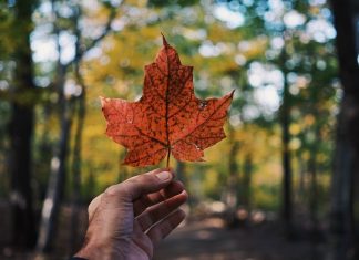 Do You Believe These Myths About Canada?