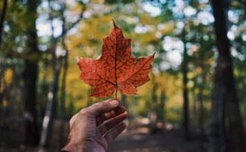 Do You Believe These Myths About Canada?