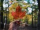 Do You Believe These Myths About Canada?