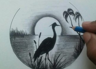 Nature Drawing Ideas For Beginners
