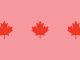 Positive Good News Stories From Canada