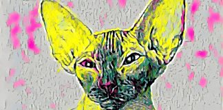 What is NFT art? Are They Worth Buying and Selling