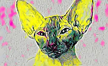What is NFT art? Are They Worth Buying and Selling
