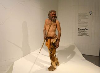 Ötzi the Iceman: The famous frozen mummy