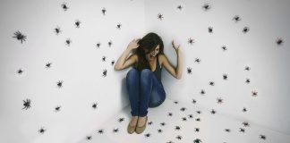 Why do people have phobias?