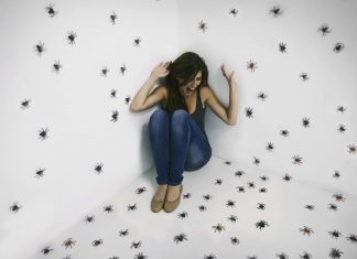 Why do people have phobias?