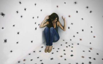Why do people have phobias?