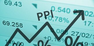 What Is the Producer Price Index?