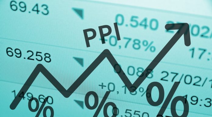 What Is the Producer Price Index?