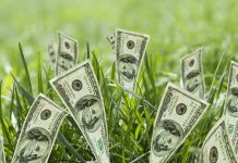 Why is it Difficult to Raise Seed Funding?