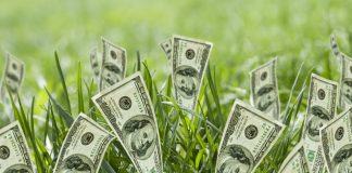 Why is it Difficult to Raise Seed Funding?