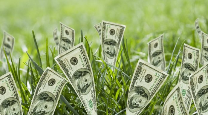 Why is it Difficult to Raise Seed Funding?