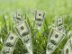 Why is it Difficult to Raise Seed Funding?