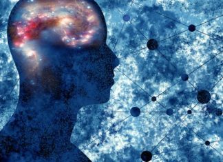 What is a scientific theory?