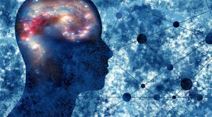 What is a scientific theory?